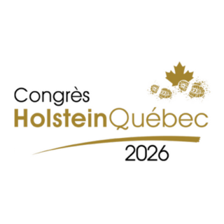 Création sans titre (3)